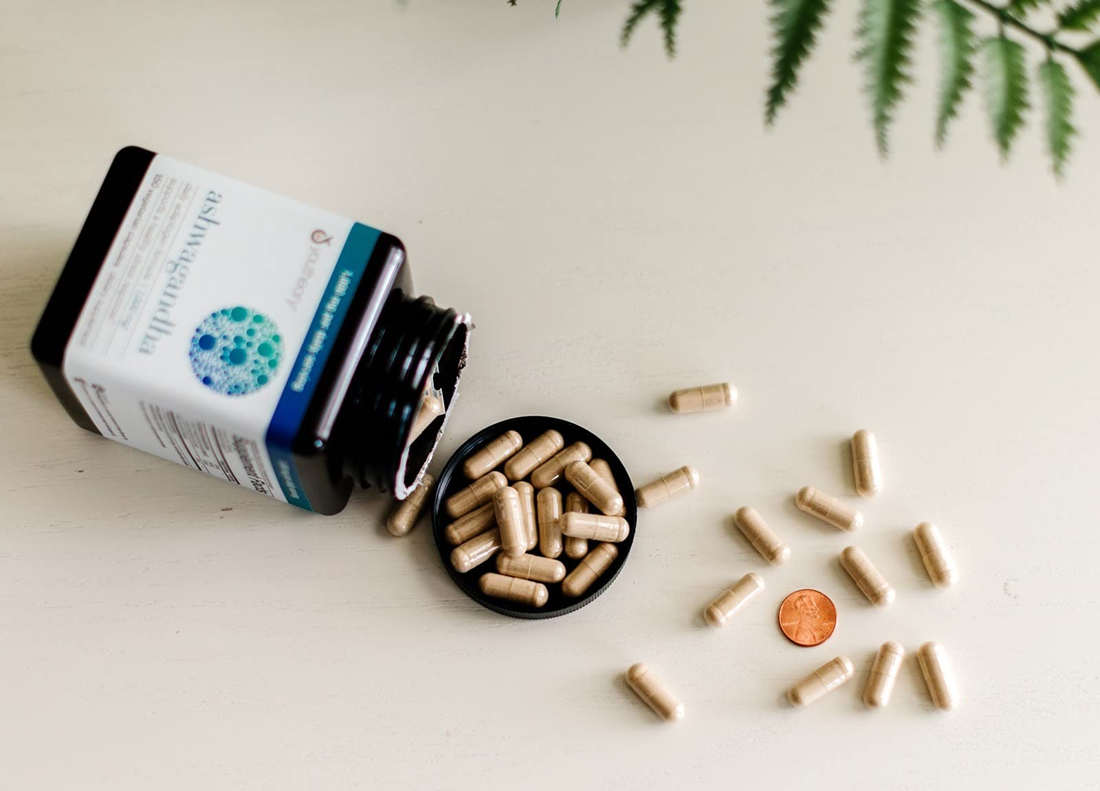 Bio KSM-66 Ashwagandha – 150 vegetarische Kapseln | 1000mg pro Tagesdosis | Unterstützung bei Stress