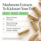 Mushroom Supplement with Lions Mane, Chaga & Cordyceps – USDA Organic, Vegan, 120 Caps (2-Month Supply)