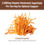 OM Mushroom Cordyceps Powder – Organic, Vegan, Non-GMO, Gluten-Free | Energy & Endurance Support