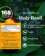 Herb Pharm Holy Basil (Tulsi) Liquid Extract – Certified Organic, Energy & Vitality (4 oz)