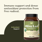 Complete Natural Products Organic Olive Leaf Capsules - 550mg, 100 Count, 1100mg per Serving (Pack of 2)