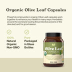 Complete Natural Products Organic Olive Leaf Capsules - 550mg, 100 Count, 1100mg per Serving (Pack of 2)