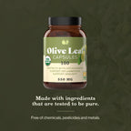 Complete Natural Products Organic Olive Leaf Capsules - 550mg, 100 Count, 1100mg per Serving (Pack of 2)