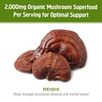 Om Mushroom Reishi Organic Powder – 100 Servings, Stress Relief & Immune Support