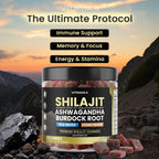 Organic Shilajit Gummies with Sea Moss & Ashwagandha – Watermelon Flavor, 60ct – Vegan, Non-GMO, Made in USA