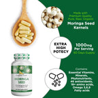Organic Veda Moringa Seed Capsules – 1000 mg Moringa Seed Powder & Oil, 120 ct