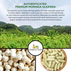 Organic Veda Moringa Seed Capsules – 1000 mg Moringa Seed Powder & Oil, 120 ct