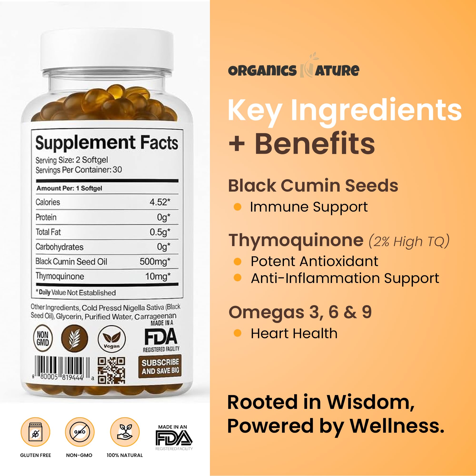 ORGANICS NATURE Schwarzkümmelöl Kapseln 1000mg – Vegane Softgels | Thymoquinon 20mg | Omega 3-6-9