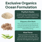 Organics Ocean Better Fiber - Daily Fiber Supplement for Softer Stool - 90 Capsules