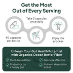Organics Ocean Better Fiber - Daily Fiber Supplement for Softer Stool - 90 Capsules
