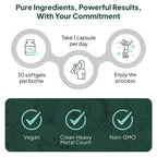 Organics Ocean Better D3 + K2 – 3000 IU VegD3 + MenaQ7 K2 (Vegan, Non-GMO) – 1-Pack, 30-Day Supply