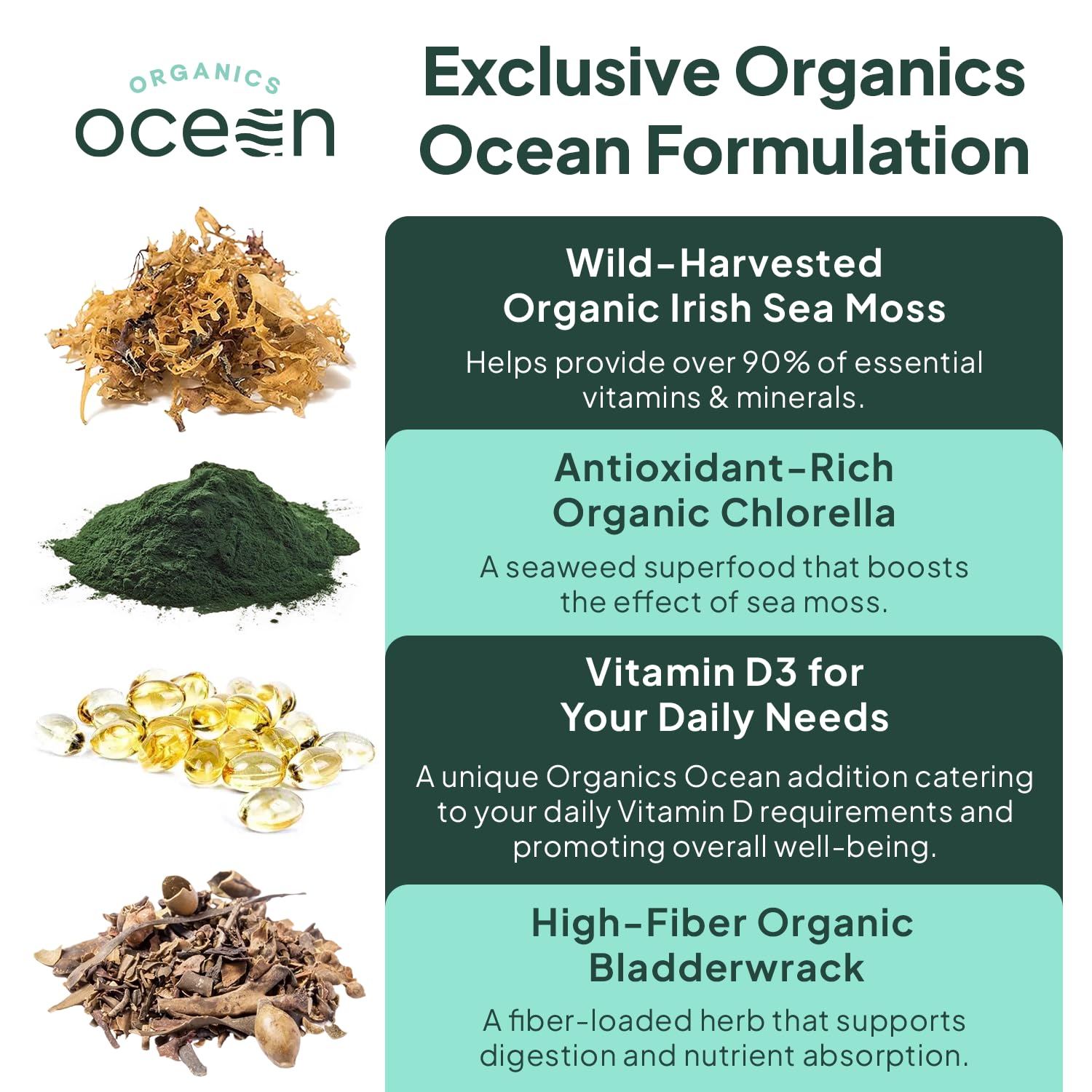 Organics Ocean Wild Meeresalgen Kapseln – 60 Kapseln | Bio Irisches Moos, Blasentang, Chlorella & Vitamin D3