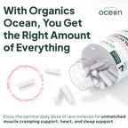 Organics Ocean Magnesium Glycinate with Zinc - Maximum Strength Chelated Magnesium for Sleep & Muscle Cramps - 2 Bottles