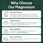 Organics Ocean Magnesium Glycinate with Zinc - Maximum Strength - 6 Bottles