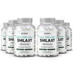 Organics Ocean One-Per-Day Shilajit Capsules – Himalayan Shilajit for Hormone Support – 6 Bottles