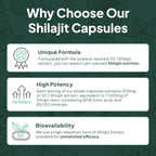 Organics Ocean One-Per-Day Shilajit Capsules – Himalayan Shilajit for Hormone Support – 6 Bottles