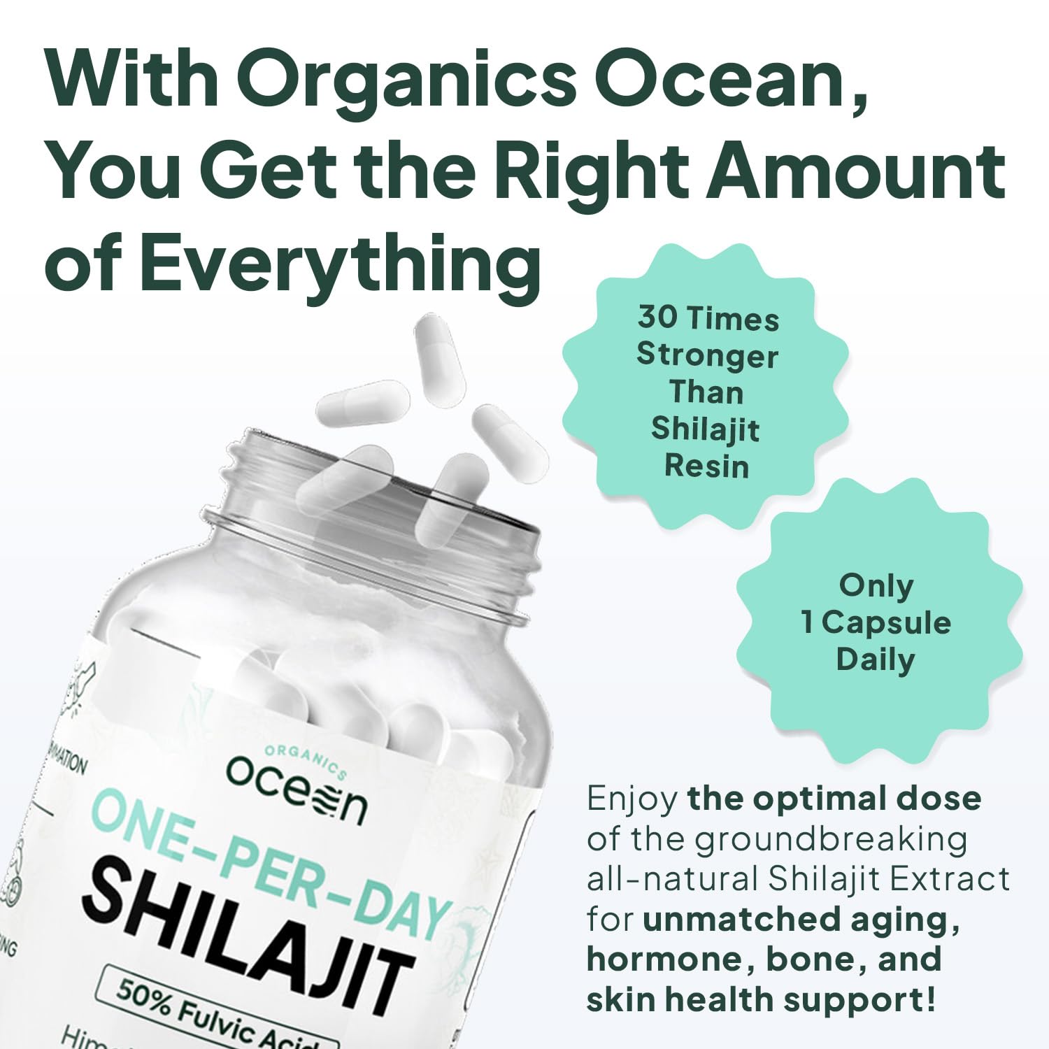 Organics Ocean One-Per-Day Shilajit Capsules – Himalayan Shilajit for Hormone Support – 6 Bottles