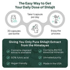 Organics Ocean One-Per-Day Shilajit Capsules – Age-Defying, Bone Strength & Hormone Support