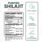 Organics Ocean Shilajit Gummies – Pumpkin Cocoa, 60 Gummies
