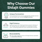 Organics Ocean Shilajit Gummies – Energy, Hormone Support & Skin Health (60 Gummies)