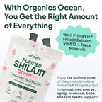 Organics Ocean Shilajit Gummies – Pumpkin Cocoa, 60 Gummies