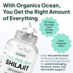 Organics Ocean One-Per-Day Shilajit Capsules – Himalayan Shilajit for Hormone Support – 6 Bottles