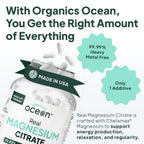 Organics Ocean Real Magnesium Citrate - High Absorption Chelated Magnesium Supplement - 3 Pack Bulk