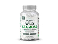 Organics Ocean Wild Meeresalgen Kapseln – 60 Kapseln | Bio Irisches Moos, Blasentang, Chlorella & Vitamin D3
