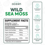 Organics Ocean Wild Meeresalgen Kapseln – 60 Kapseln | Bio Irisches Moos, Blasentang, Chlorella & Vitamin D3