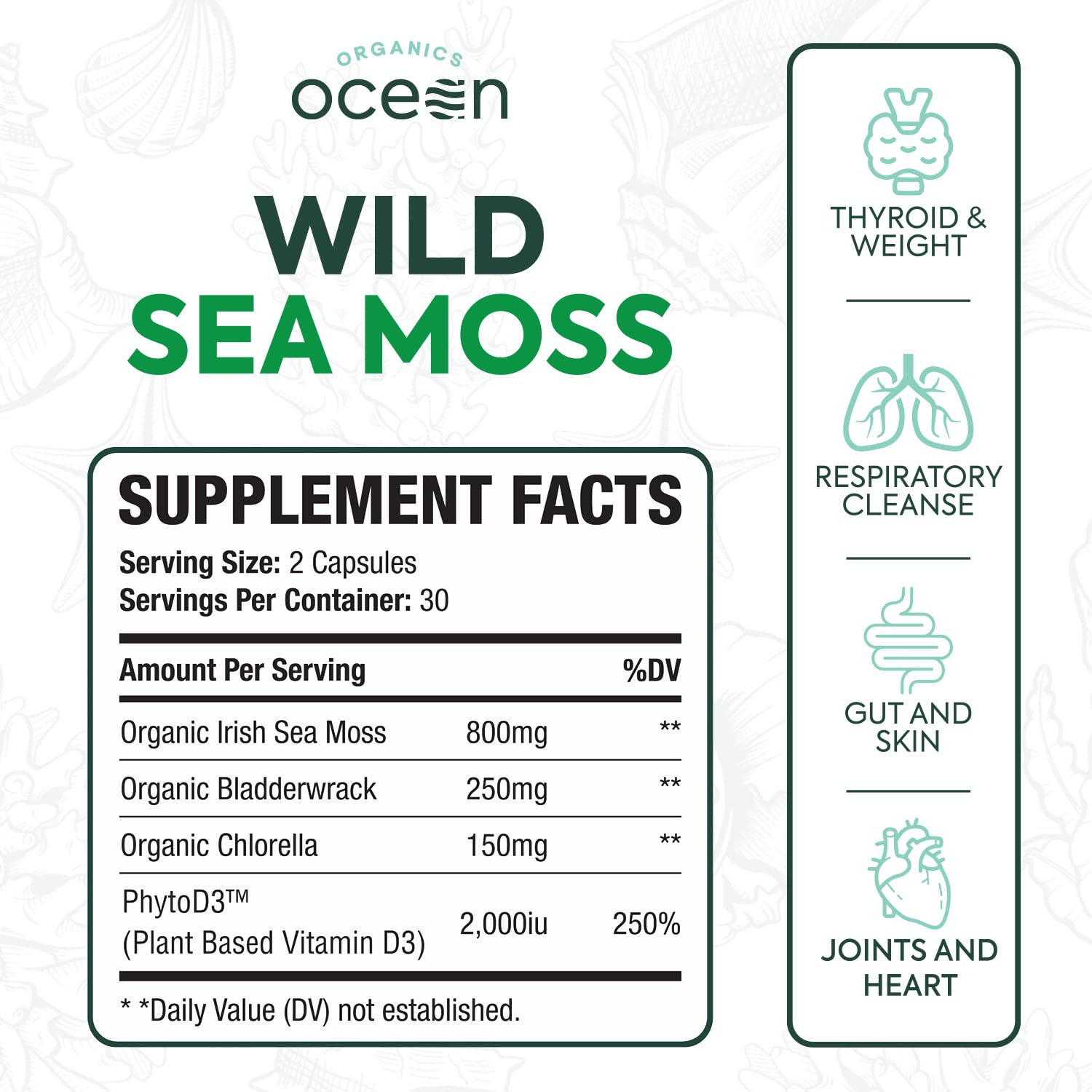 Organics Ocean Wild Meeresalgen Kapseln – 60 Kapseln | Bio Irisches Moos, Blasentang, Chlorella & Vitamin D3