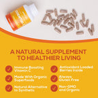 Paleovalley Essential C Complex – Organic Vitamin C from Acerola, Camu Camu & Amla – USA Made