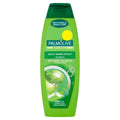 Palmolive Shampoo Aloe Vera EVP 350ml (Karton mit 6 Stück)