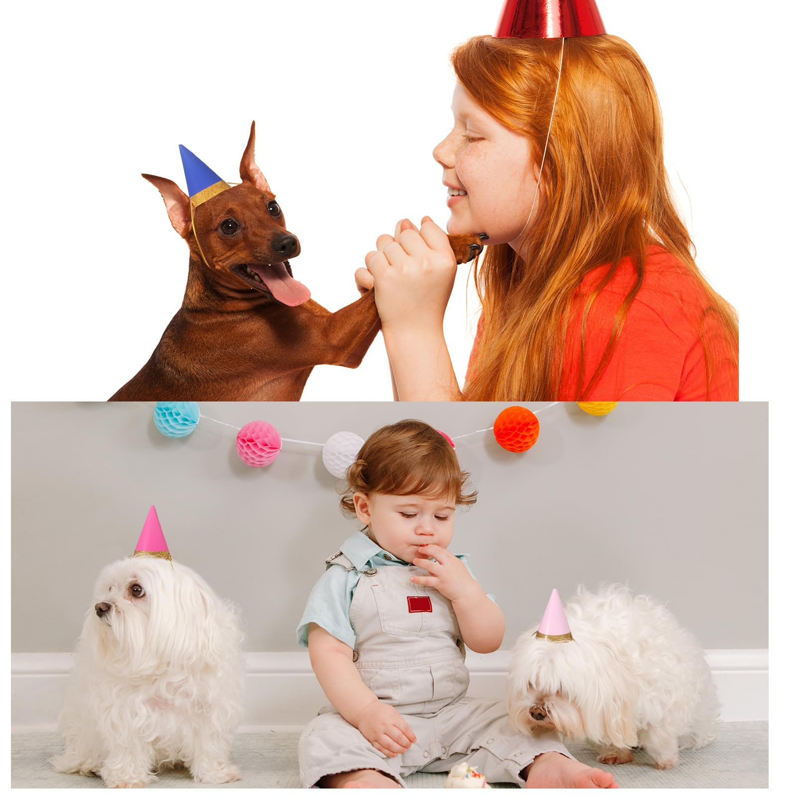 Panitay 40-Piece Colorful Mini Party Hats for Stuffed Animals | Paper Cone Birthday Accessories
