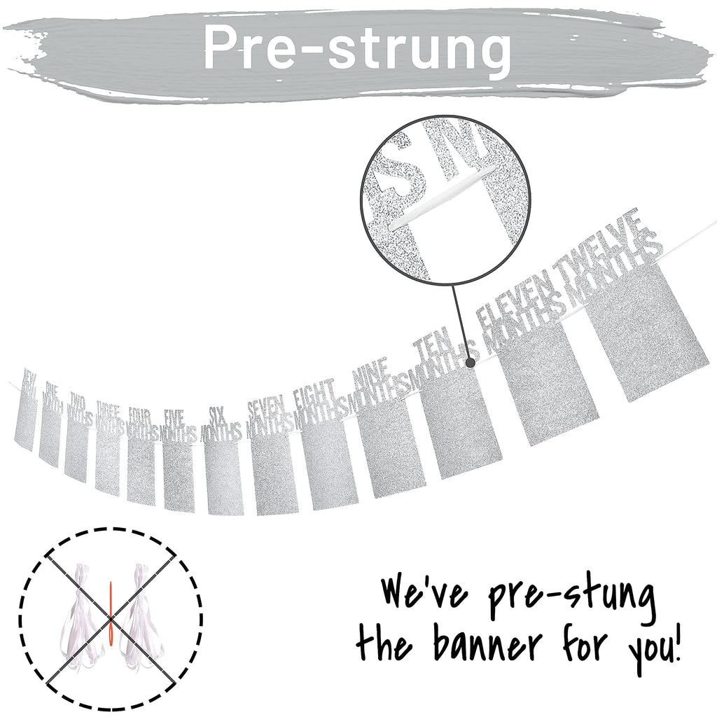 PartyHooman 1st Birthday Photo Banner — Pre-strung Silver Frame, Newborn to 12 Months Milestones