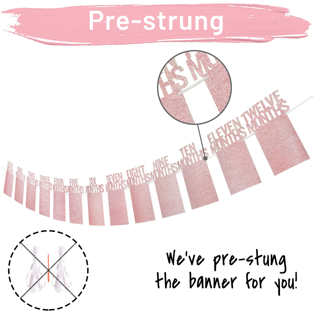 PartyHooman 1st Birthday Photo Banner for Baby – Pre-strung Milestones Garland (0-12 Months) Rose Gold