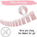 PartyHooman 1st Birthday Photo Banner for Baby – Pre-strung Milestones Garland (0-12 Months) Rose Gold