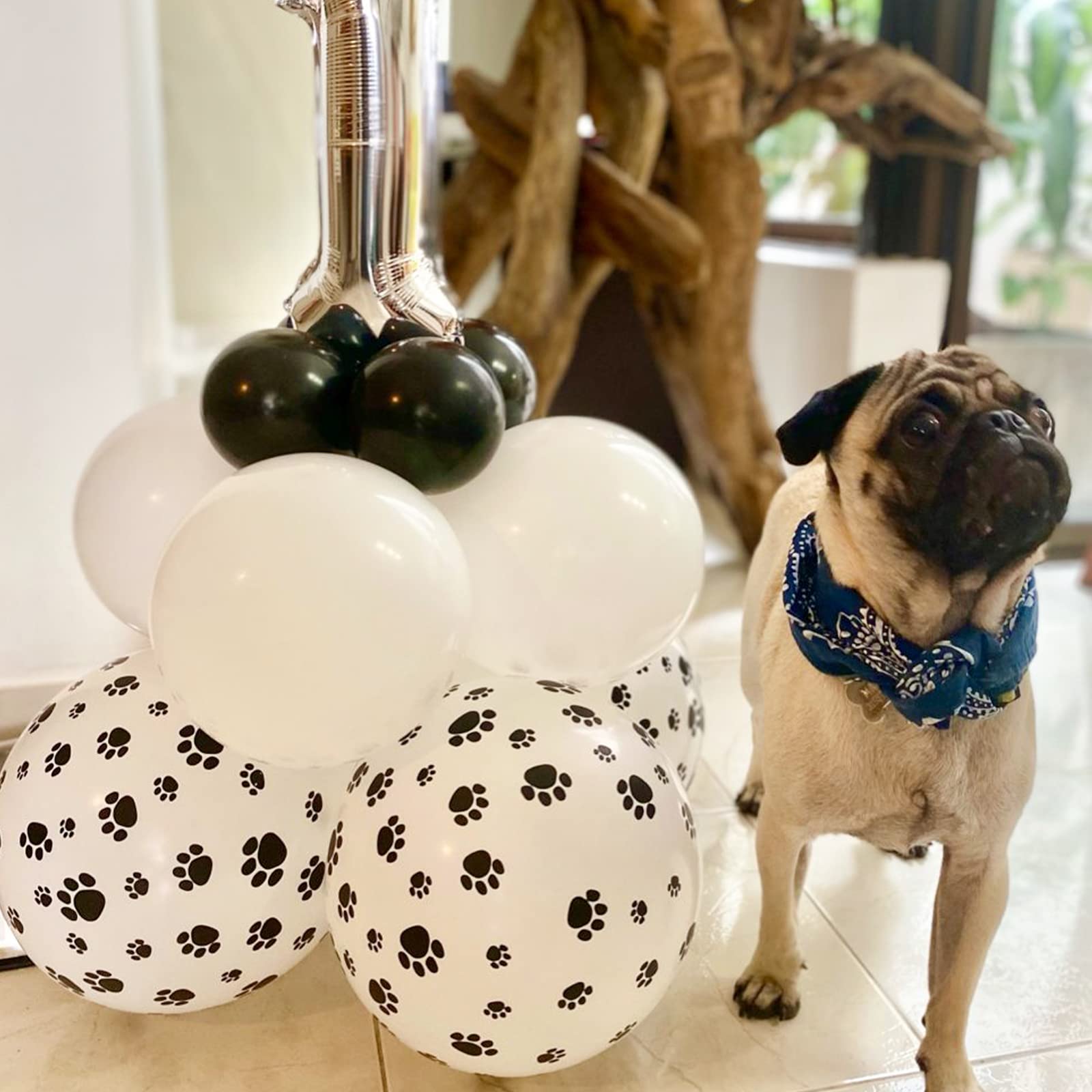PartyWoo Paw Balloons – 50pcs 12in Matte White Paw Print Latex