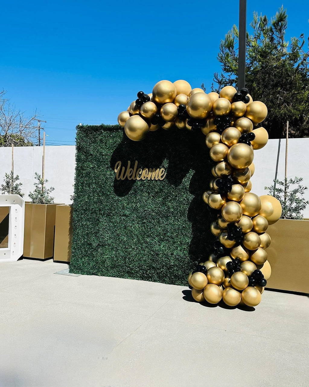 PATYDECRO Gold Latex Balloons – 55pcs, 12in, Ribbon Included | Birthday, Graduation, Baby Shower