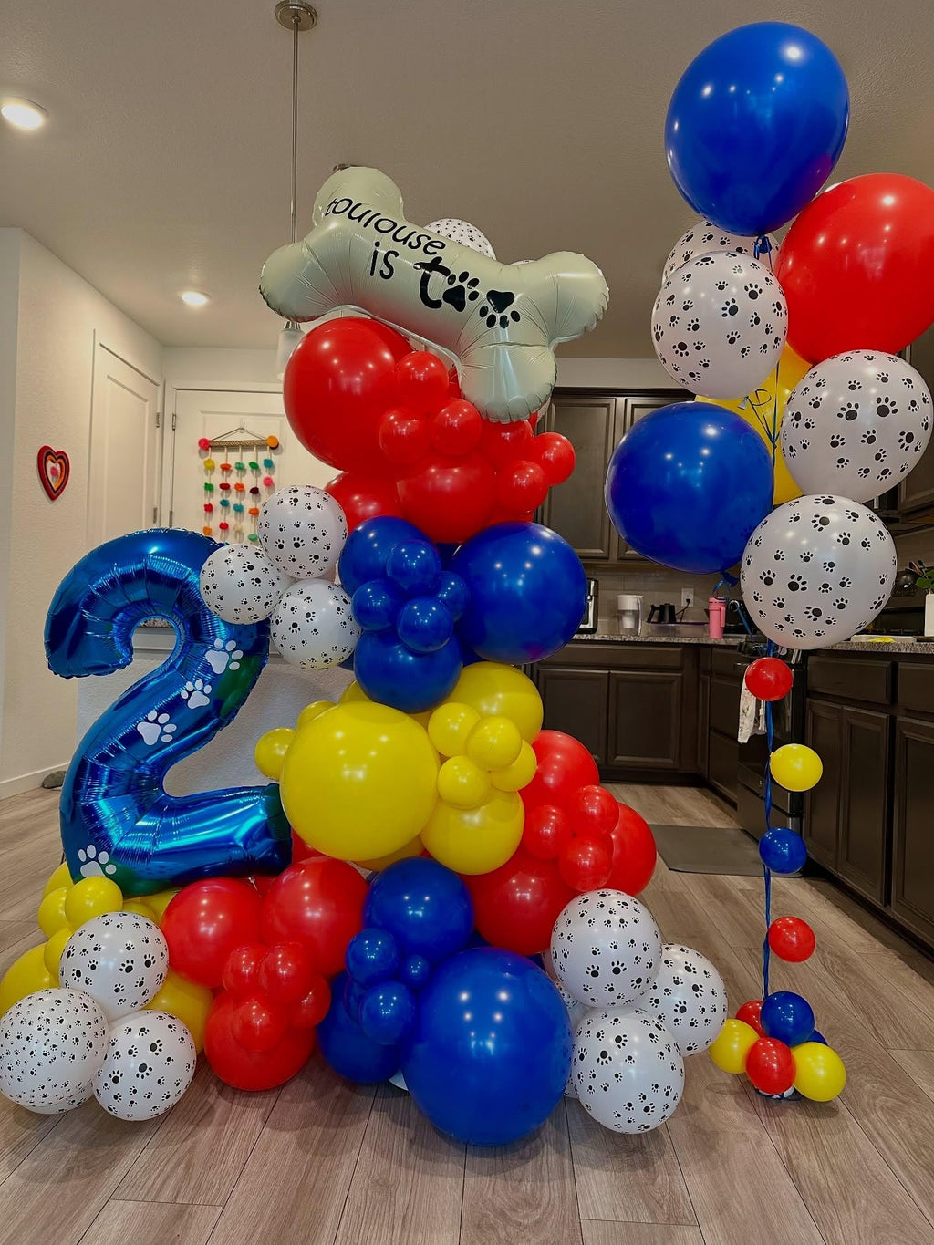 PATYDECRO Dog Paw Latex Balloons – 50pc Pack (12) with Ribbon | Royal Blue, Light Blue, Yellow, Red