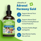 Pet Wellbeing Adrenal Harmony Gold for Dogs – Adrenal Support with Ashwagandha & Bacopa | NASC Certified