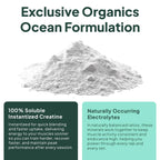 Organics Ocean Krealyte Fusion: Instantized Creatine Monohydrate + Electrolytes, Pink Lemonade, 30 Servings