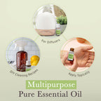 Pranarom Top 5 Essential Oil Kit (5-Pack) - Lavender, Peppermint, Tea Tree, Eucalyptus, Lemongrass - 100% Pure Organic Oil (USDA & ECOCERT)