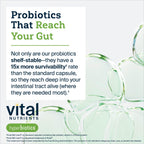 Hyperbiotics Vital Nutrients Bio-Präbiotischer Faserpulver | Darmgesundheit & Verdauungsregelmäßigkeit | 54 Portionen