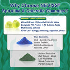 Bio Spirulina & Chlorella Gummis – Probiotikum & Super Greens Nahrungsergänzungsmittel, 60 Stück