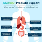 Probiotics for Women & Men – 300 Billion CFU from 12 Strains + Organic Prebiotics | 180 Capsules