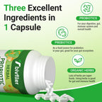 Probiotics for Women and Men | 300B CFU, 24 Strains, 15 Organic Herbs, 2 Month Supply