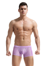 Transparent Mesh Boxers