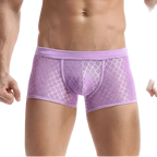 Transparent Mesh Boxers