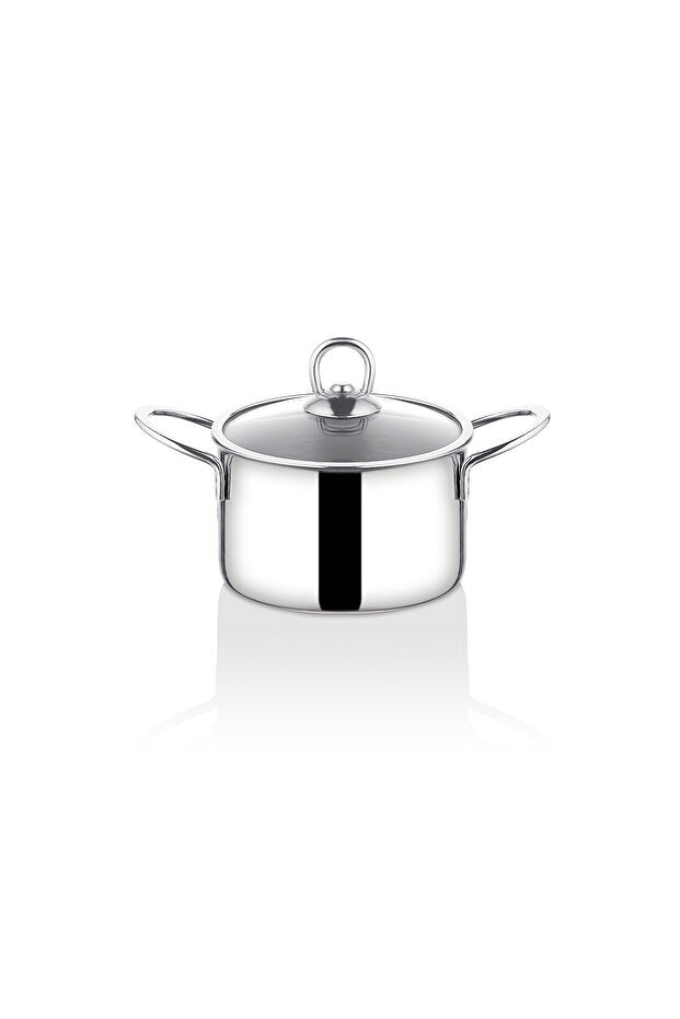 Protico Stainless Steel Casserole Pot with Glass Lid 14cm