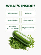 PURA VIDA MORINGA Capsules — Single Origin Organic Moringa Powder, 120 Count (500 mg) — Pack of 2